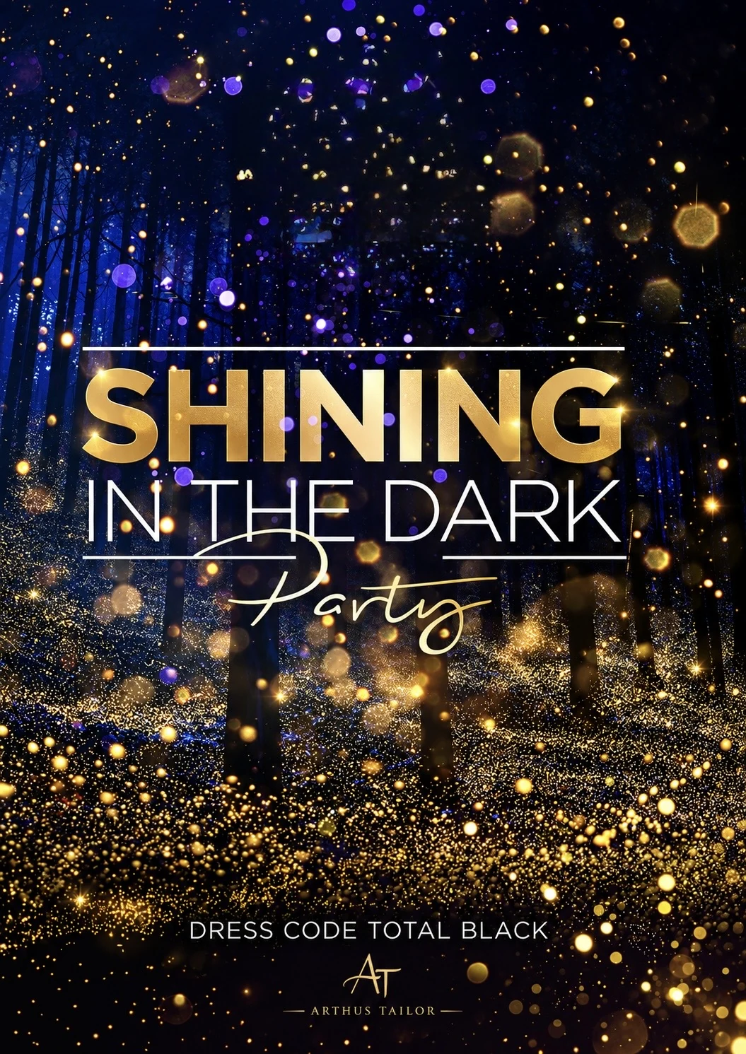 Shining in the Dark poster